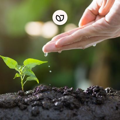 Image mécénat entreprise