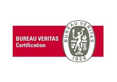 logo bureau veritas