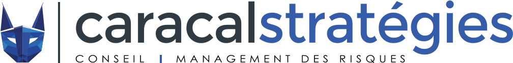 Logo Caracal Stratégie