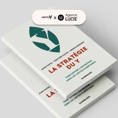 Stratégie du Y