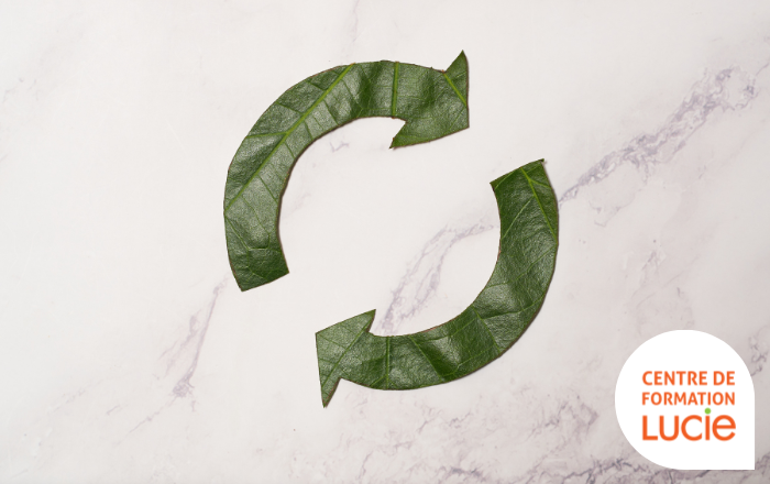 Deux flèches vertes symbolisant l'économie circulaire