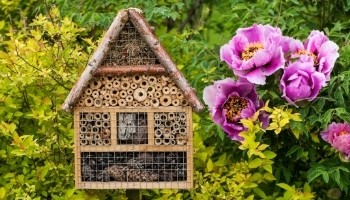 Hôtel à insectes -  référentiel sensibilisation des équipes - biodiversity progress- Agence LUCIE