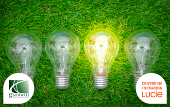 Formation Eco Conception frugale, ampoules posées sur l'herbe