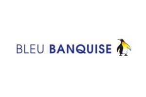 Logo Bleu Banquise Agence LUCIE