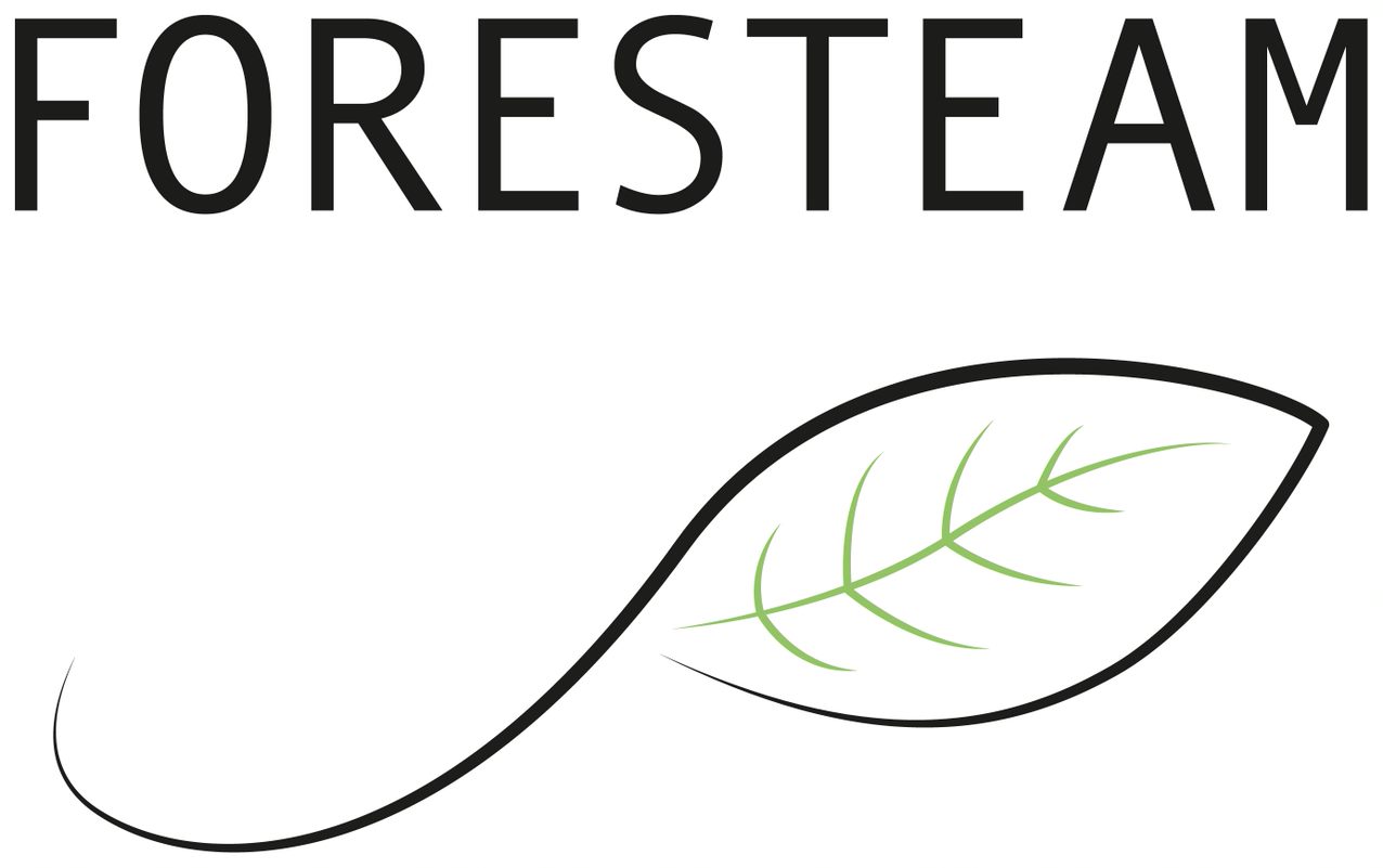 Logo Foresteam Biodiversity Progress