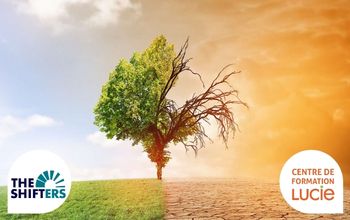 Vignette arbre vivant et mort - réchauffement climat - Agence LUCIE