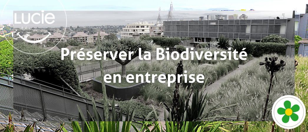 Préserver la biodiversité en entreprise