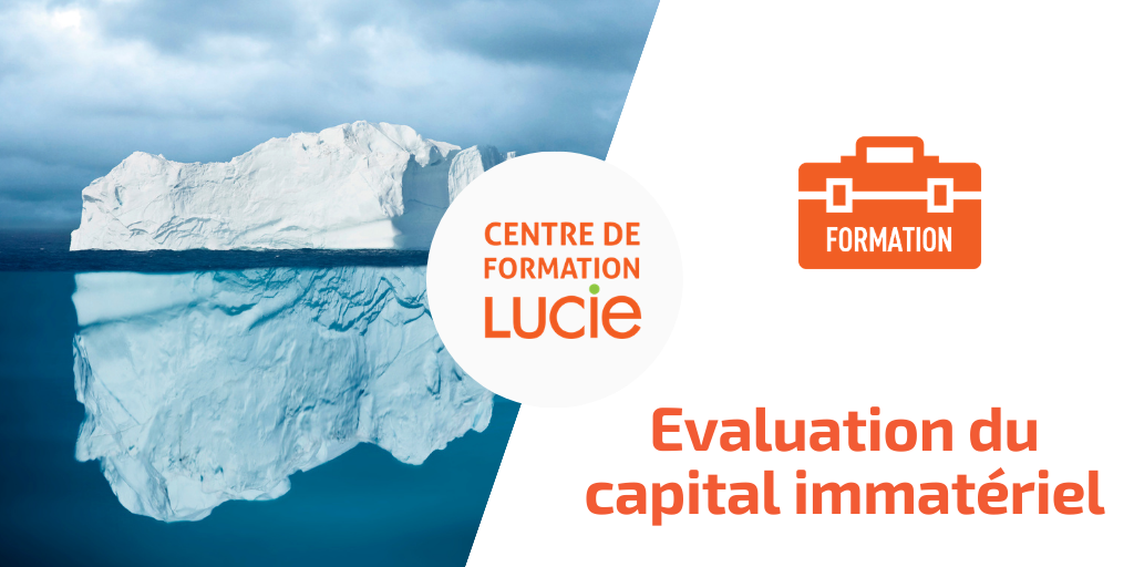 visuel-formation-évaluation-capital-immatériel-Agence-LUCIE Affiche de formation "évaluation du capital immatériel en entreprise"